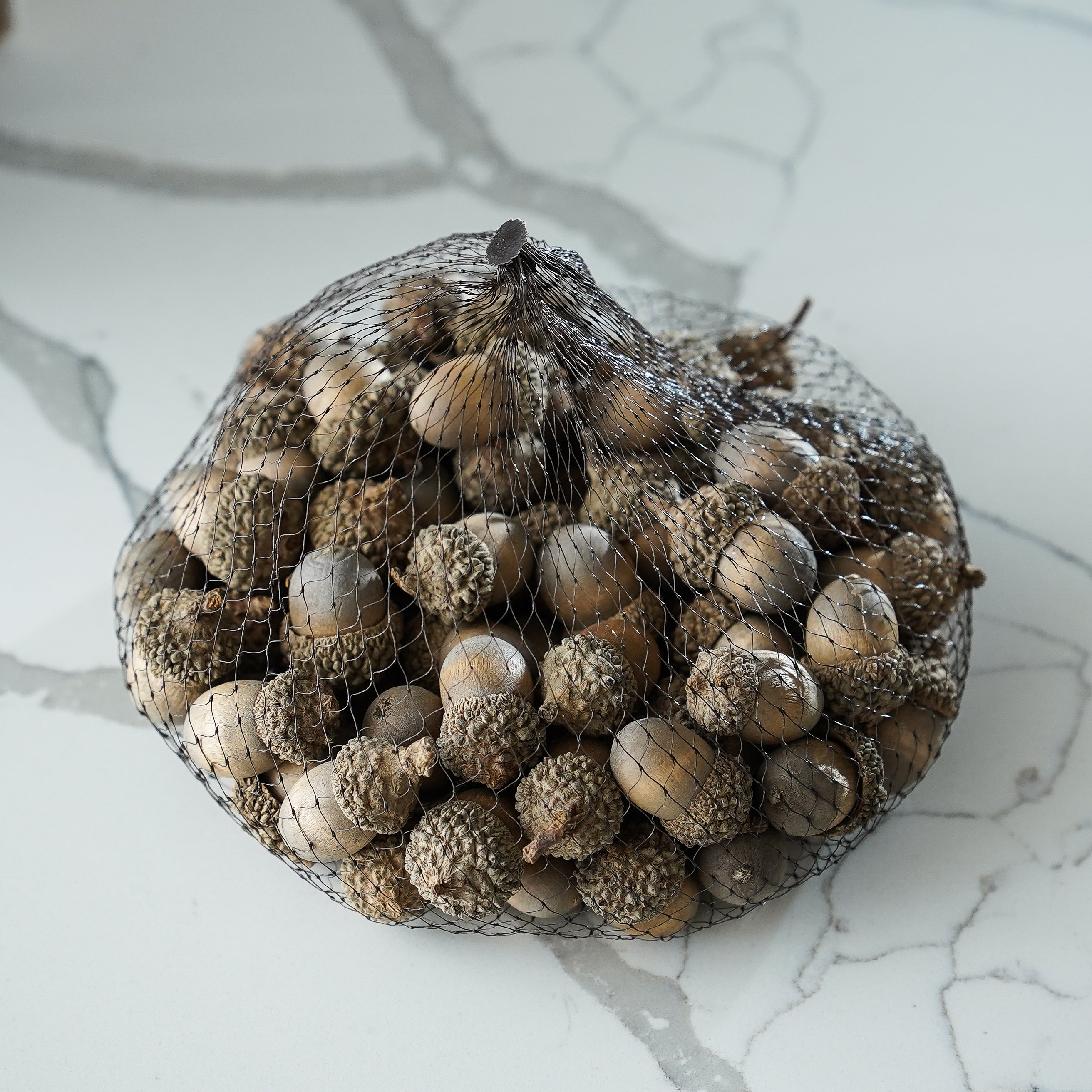 Bag of Faux Cream Acorns