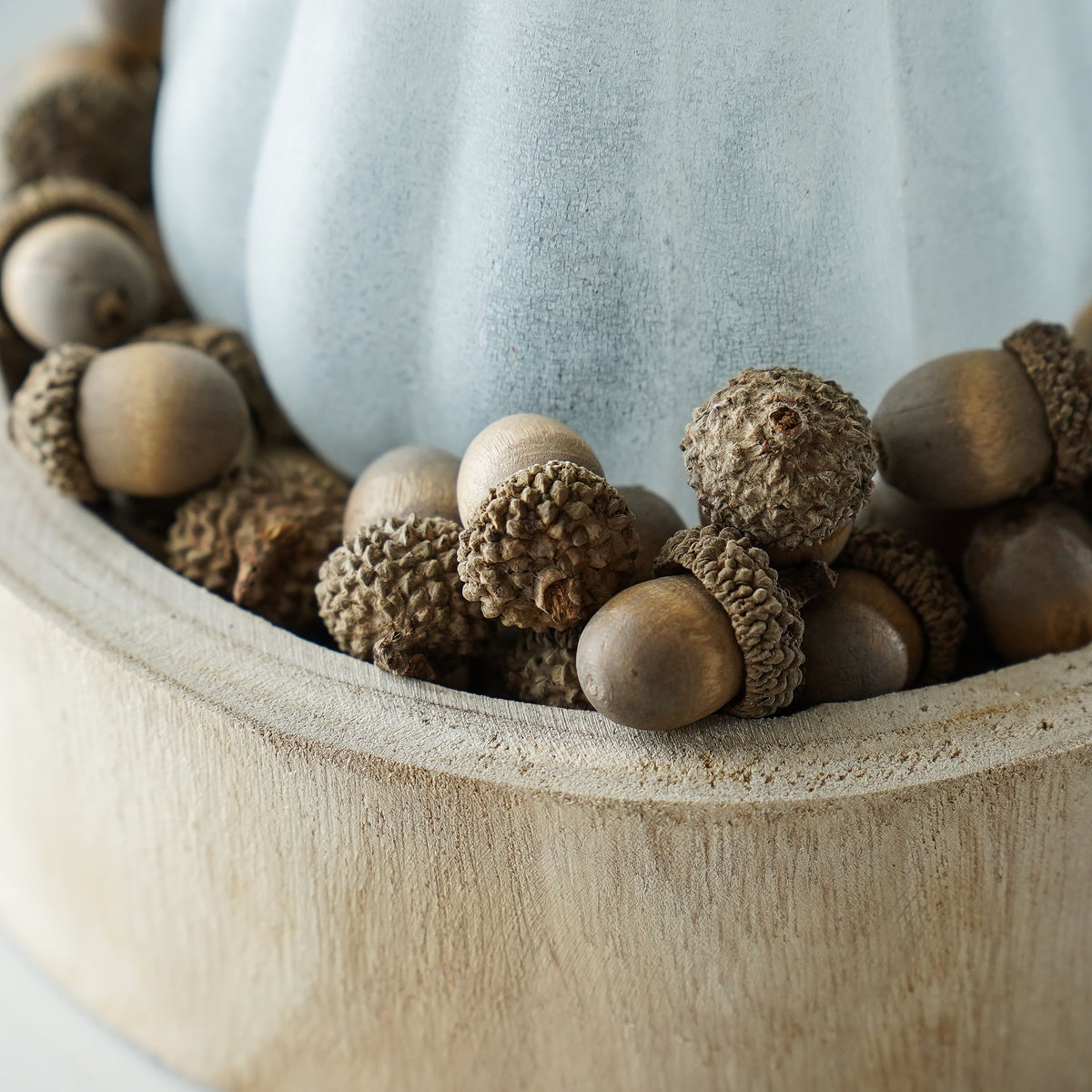 Bag of Faux Cream Acorns