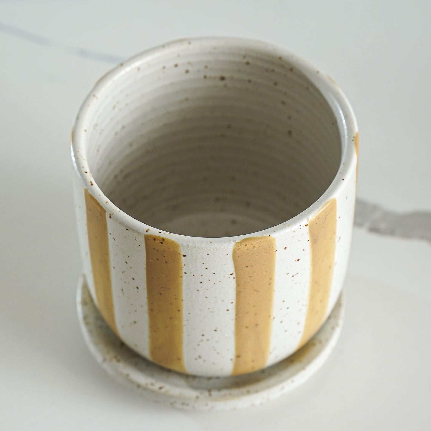 Golden Stripe Planter with Saucer