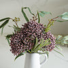 Sedum Bundle | Purple