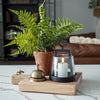 Black Mini Aluminum & Glass Lantern