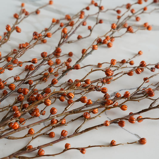 Rustic Fall Berry Stem | 24"