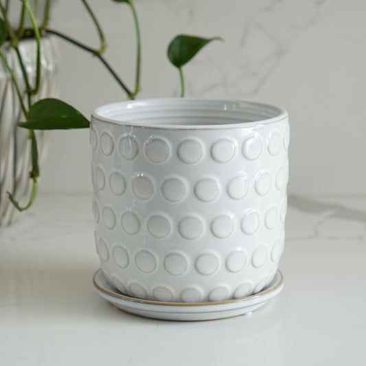 Dot Pattern Planter