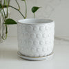 Dot Pattern Planter