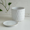 Dot Pattern Planter