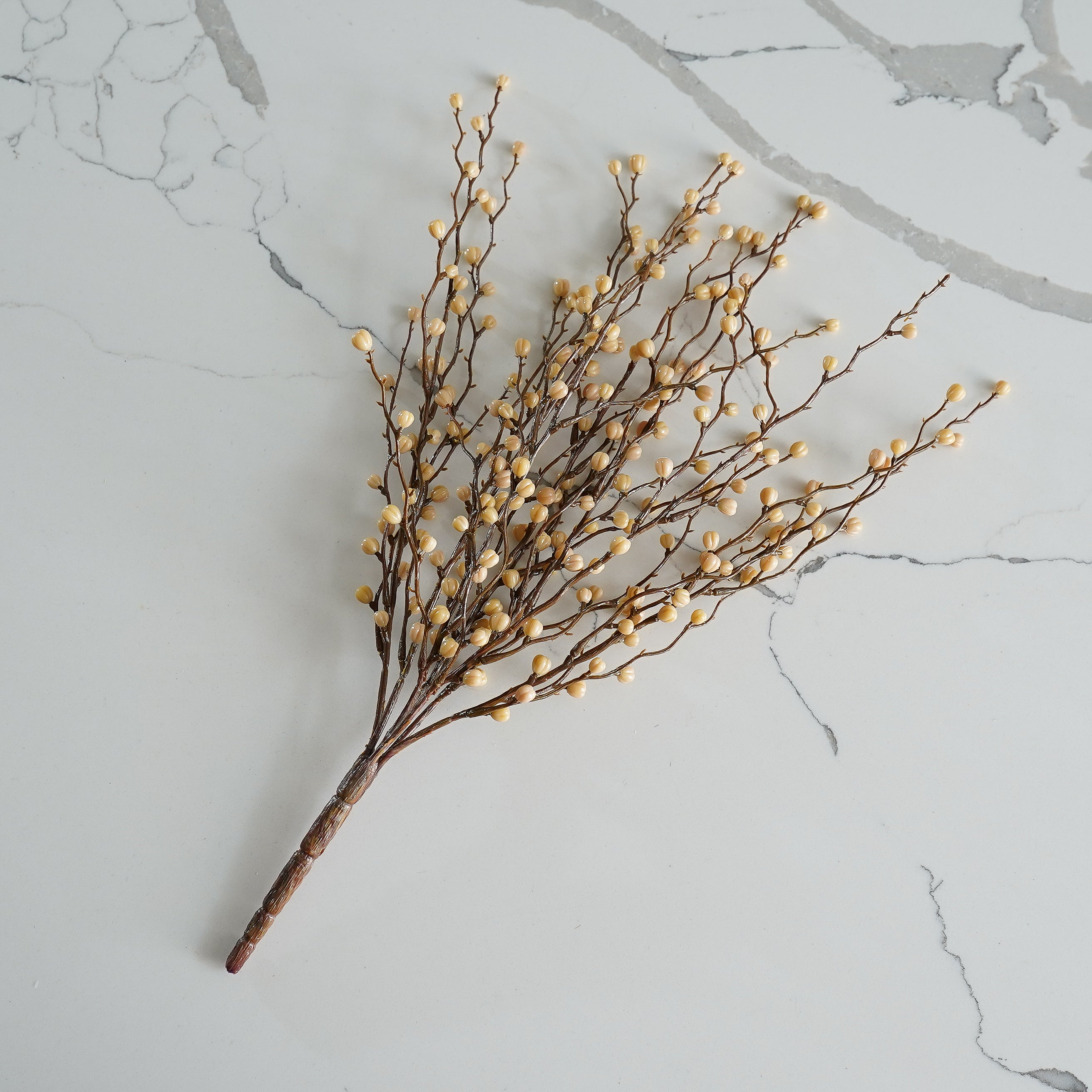 PRE ORDER | Harvest Kitchen Bundle Deal