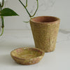 Sadie Terracotta Planter
