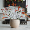 Elias Round Terracotta Pot | 3 Sizes