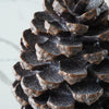 Resin Decorative Pinecone