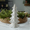 Whitewashed Tree | Decorative Winter Tree