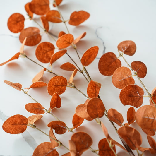 Eucalyptus Leaf Spray | Burnt Orange Faux Stem