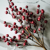 Hearth Berry Bush | 15"