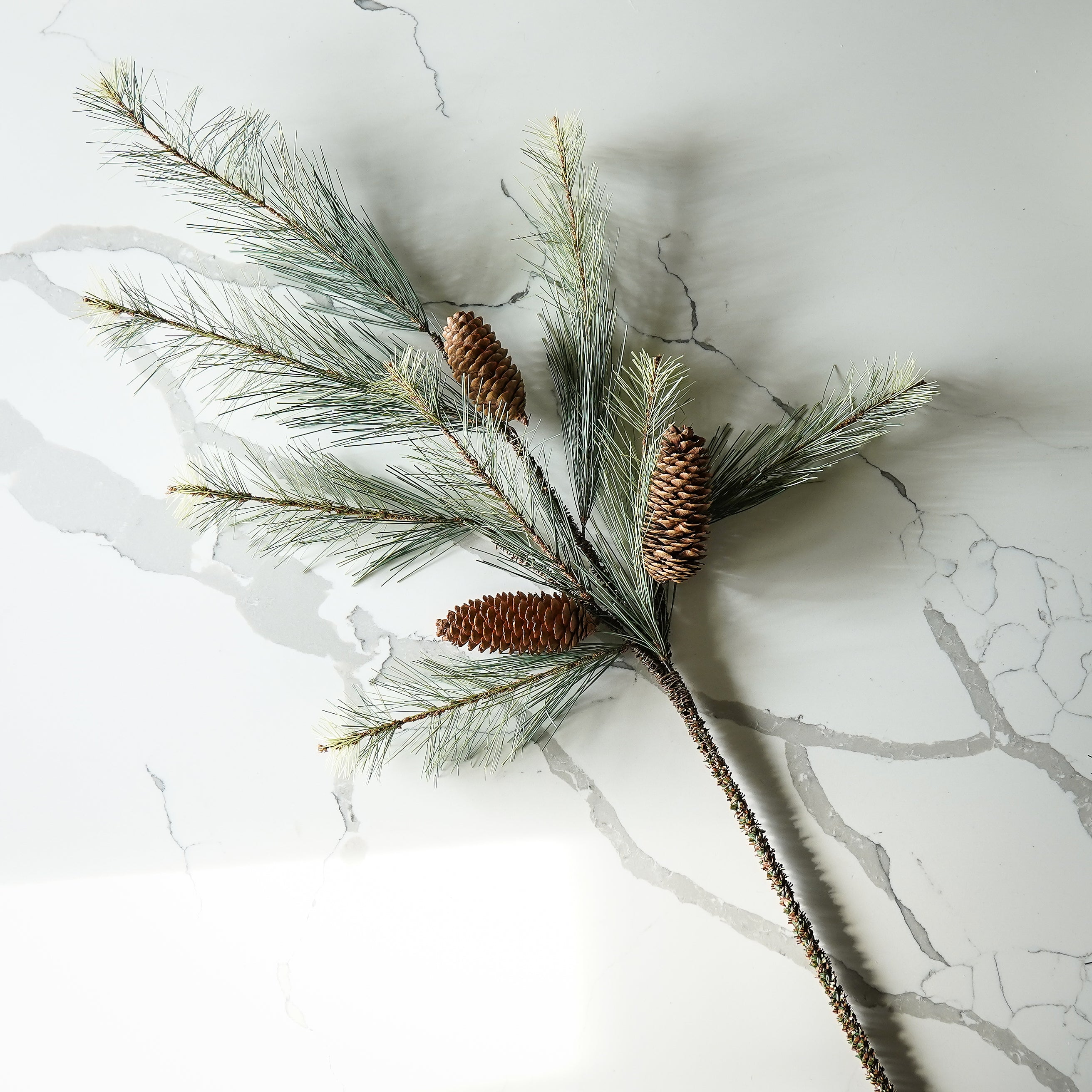 Black Valley Pine Spray
