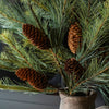 Black Valley Pine Spray