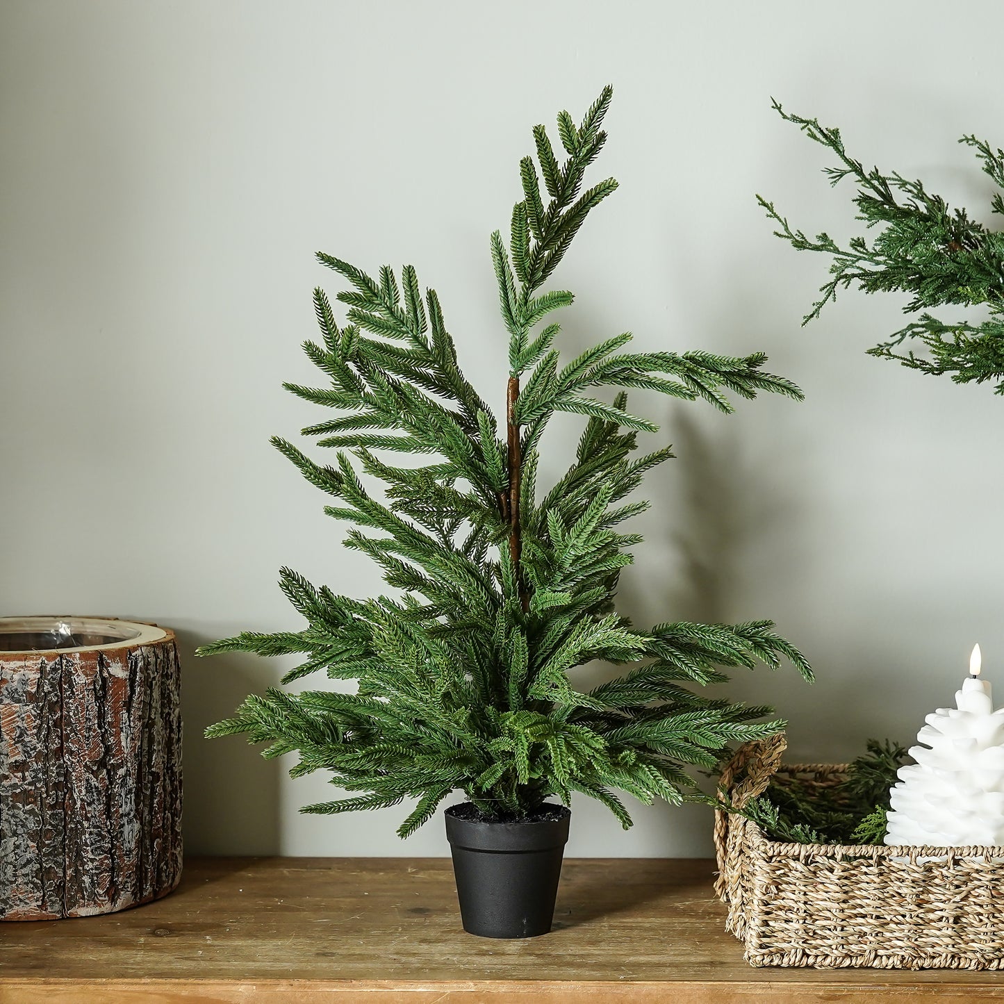 Real Touch Blissful Norfolk Pine Tree | 24”