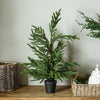 Real Touch Blissful Norfolk Pine Tree | 24”