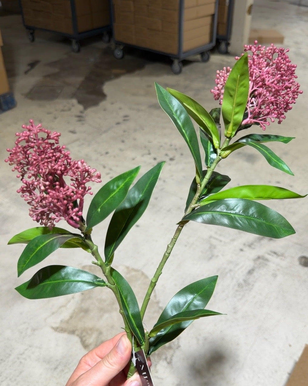 Dusty Rose Berry Branch Stem