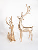 Iron Gold Standing Reindeer