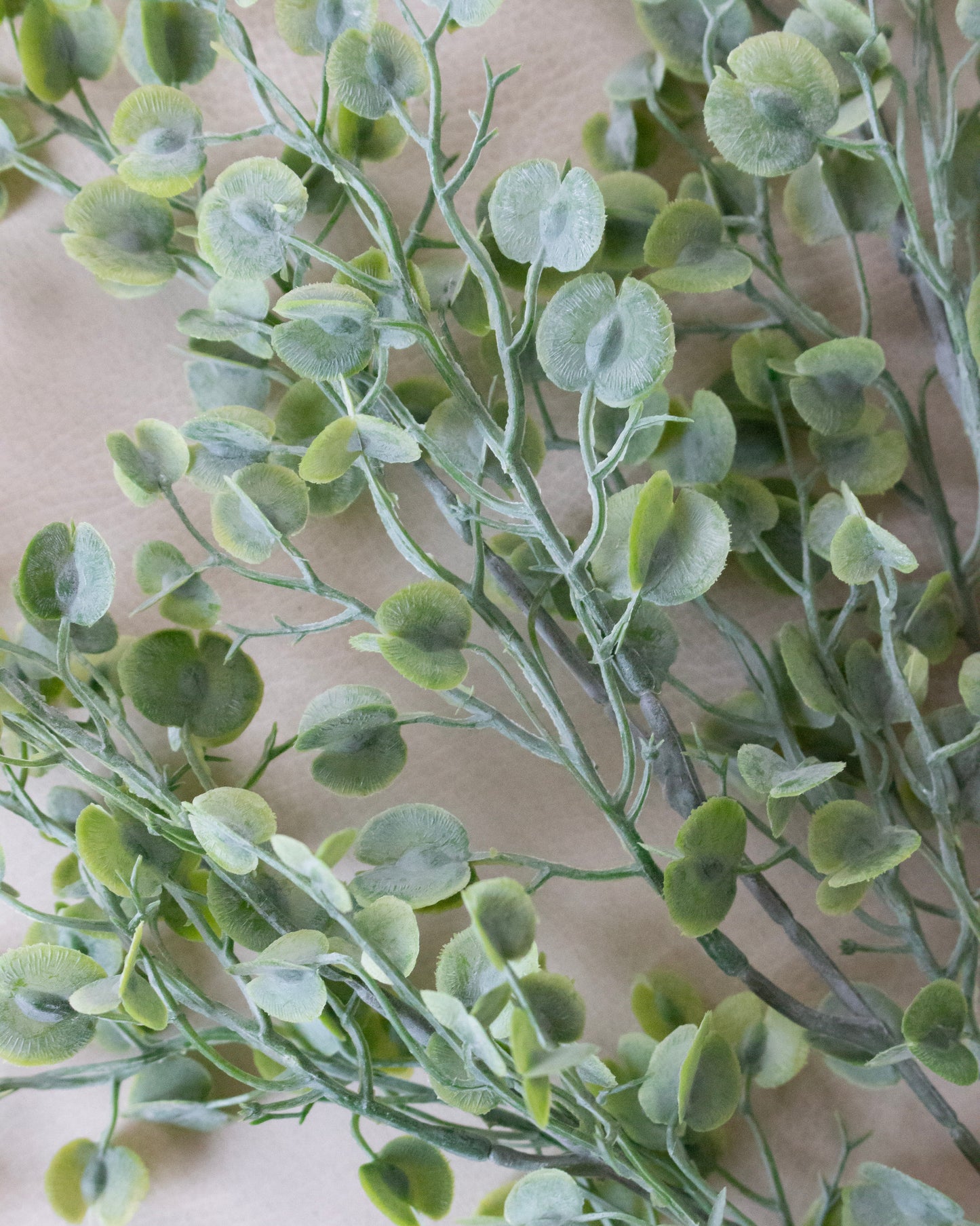 Mini Leaf Greens Bush