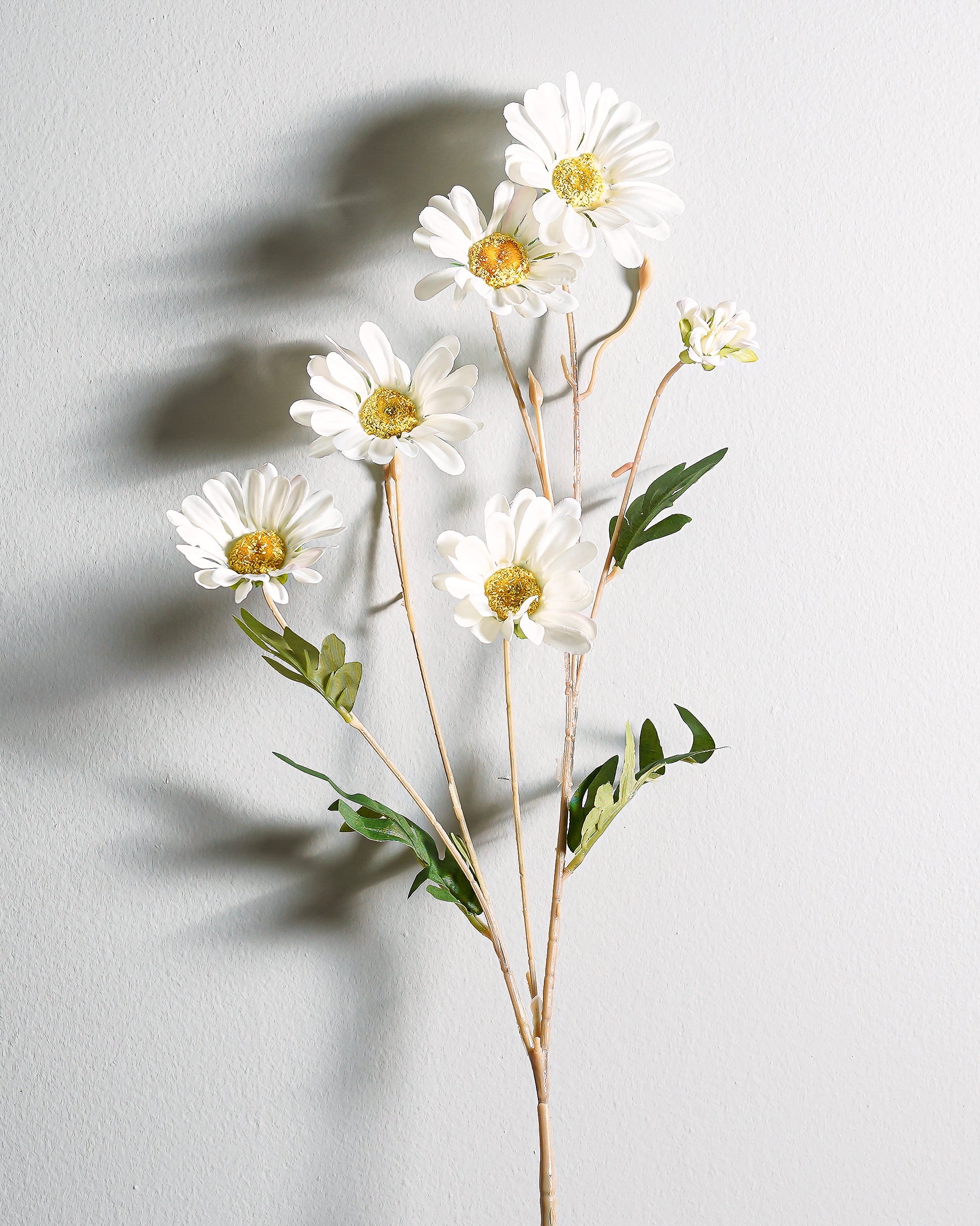 Tully Daisy Stem