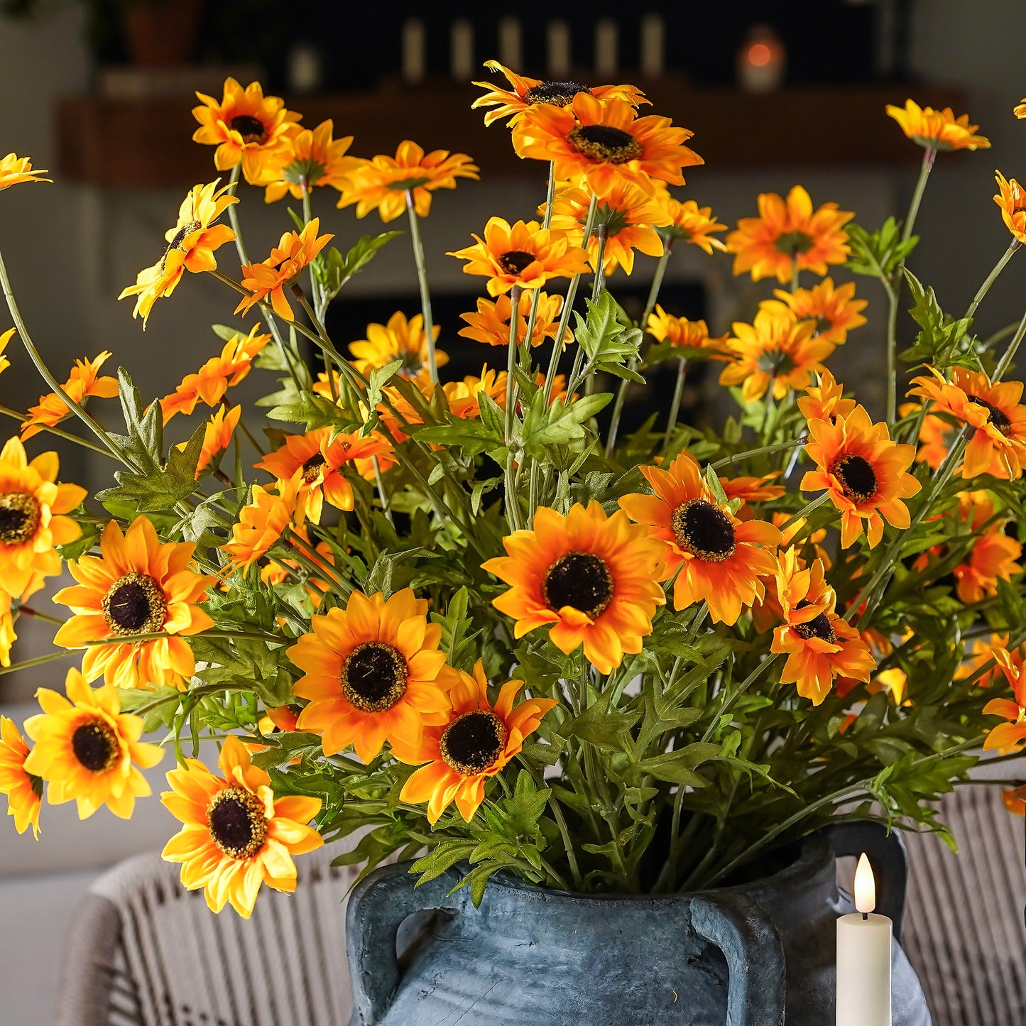 Black-Eyed Susan Bush | Yellow