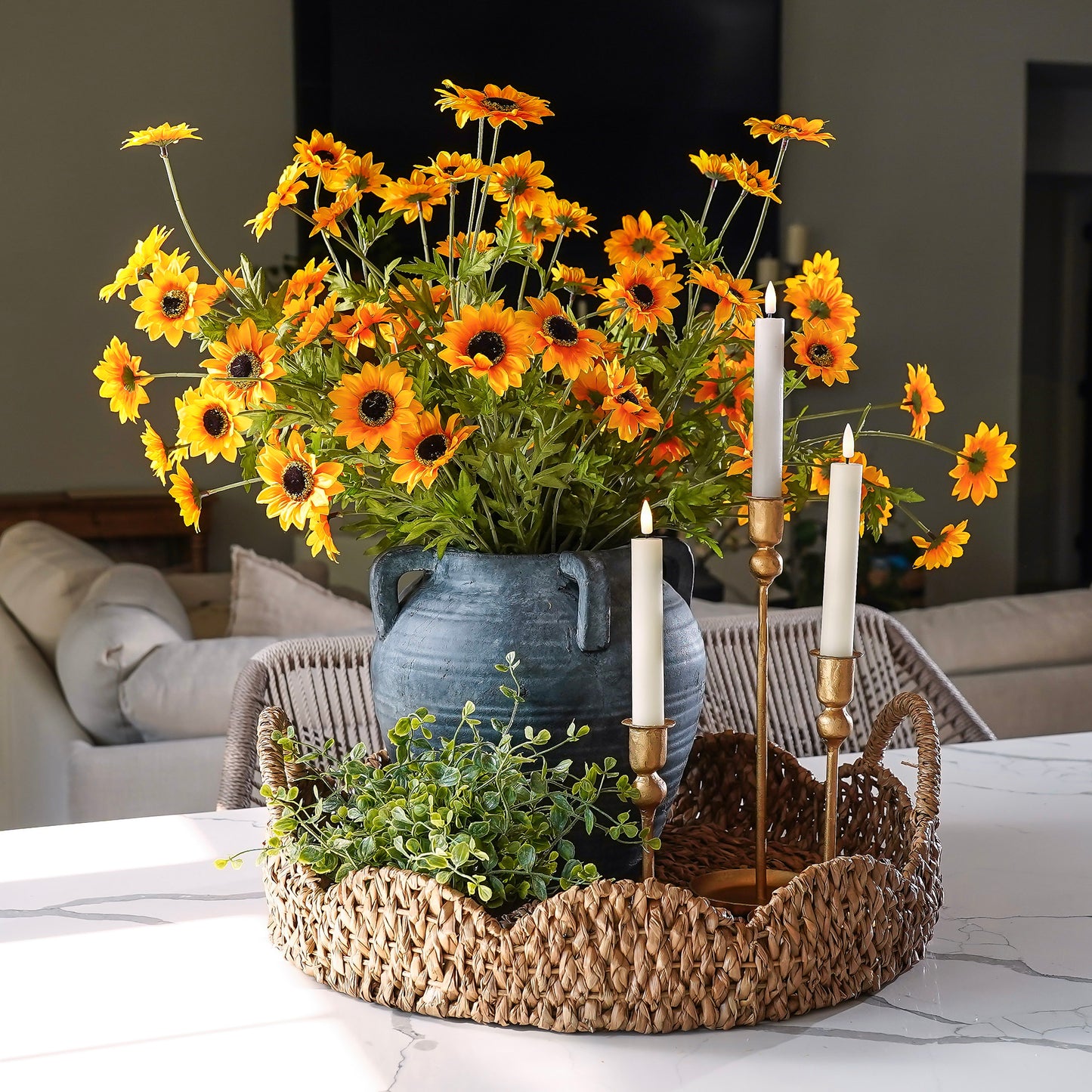 Black-Eyed Susan Bush | Yellow