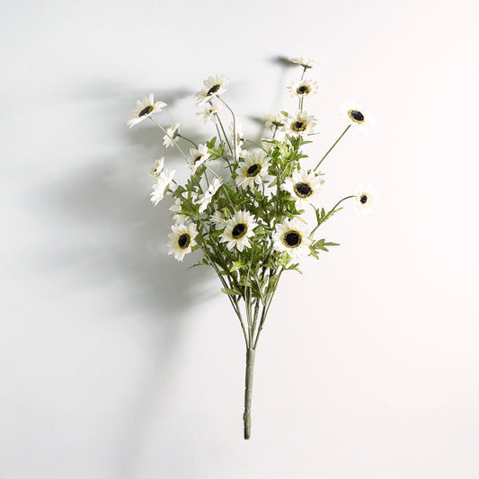 Black-Eyed Susan Bush | White