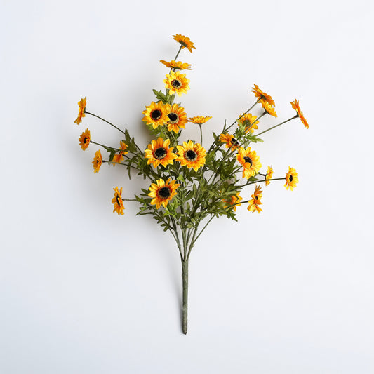 Black-Eyed Susan Bush | Yellow