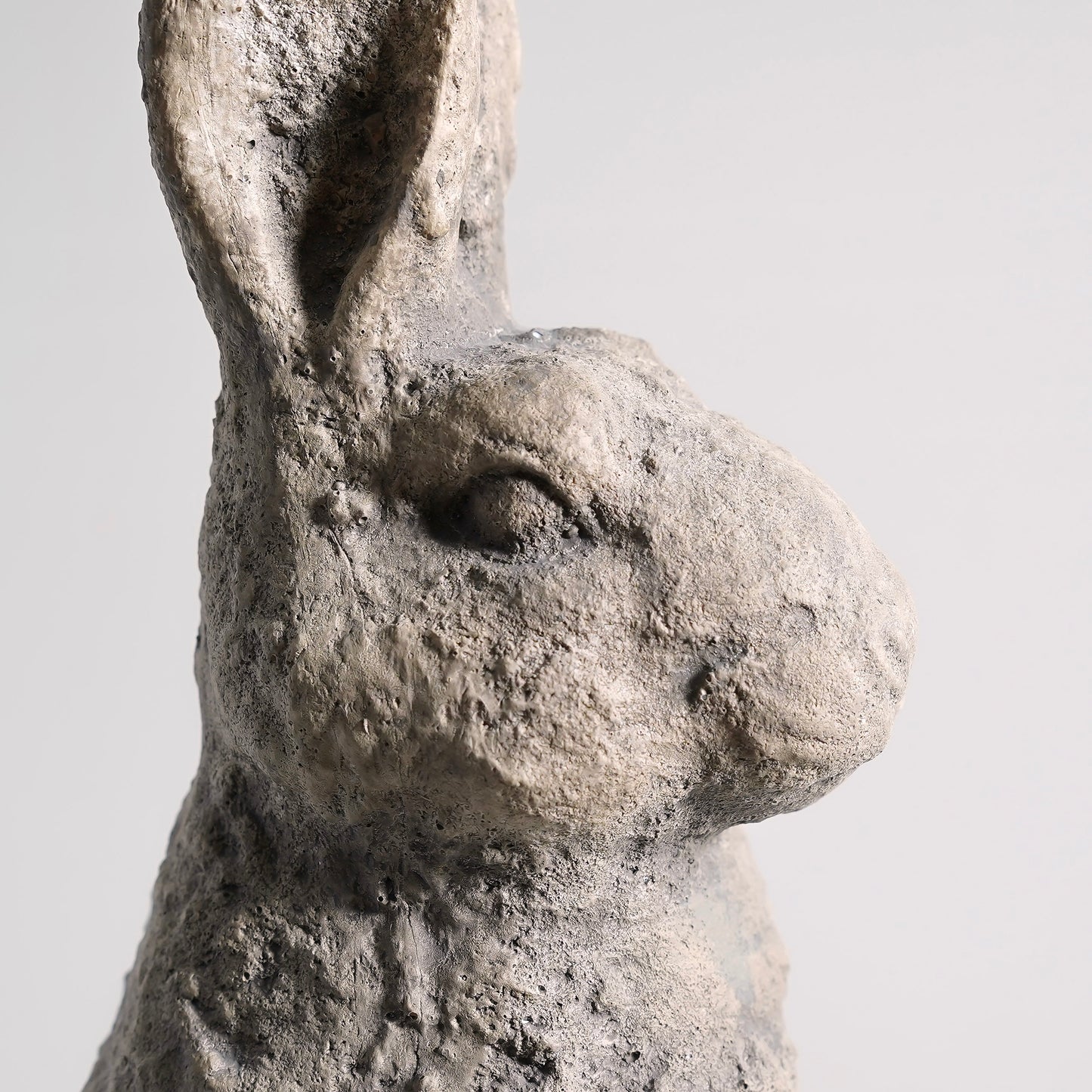 Rosie Standing Rabbit