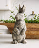 Rosie Standing Rabbit
