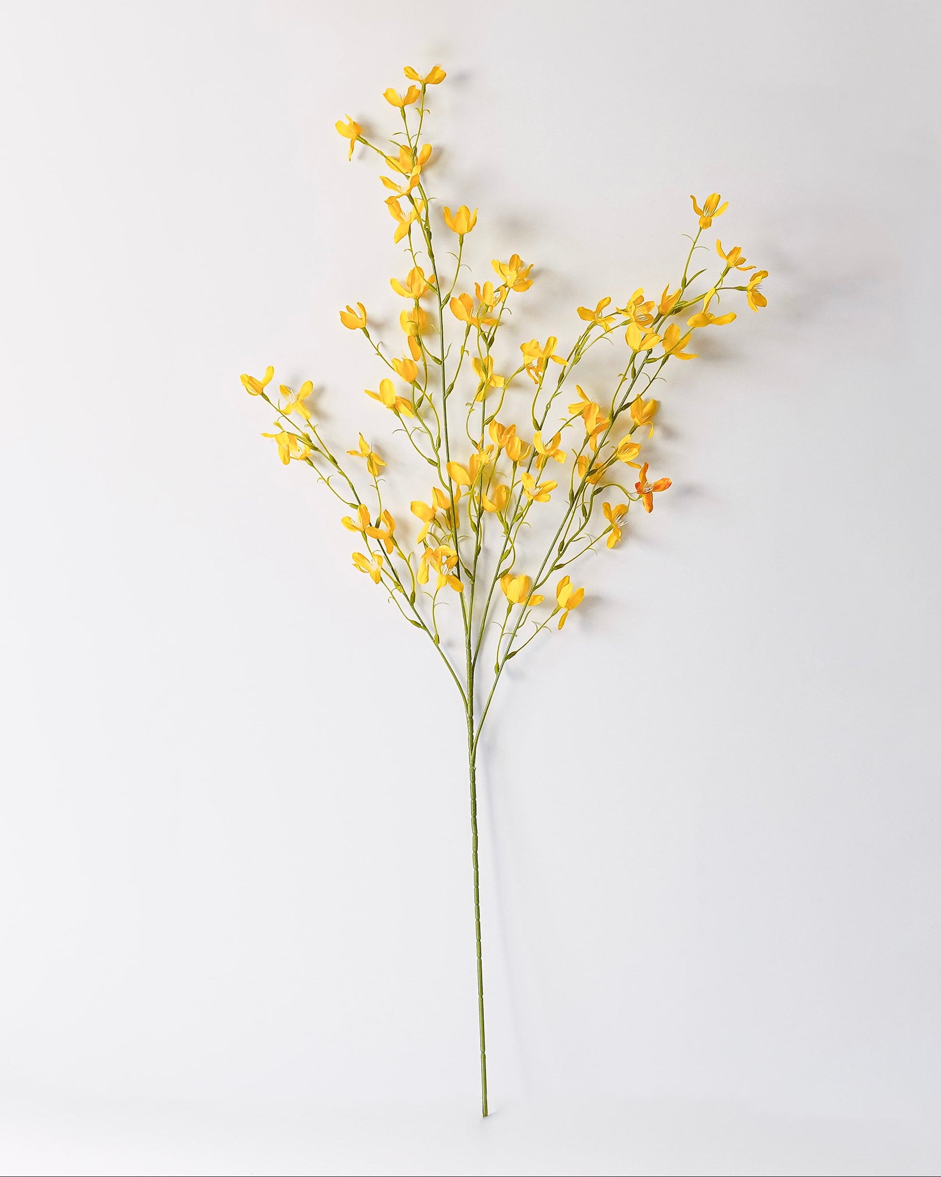 Forsythia Blossom Branch | Yellow