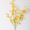 Forsythia Blossom Branch | Yellow