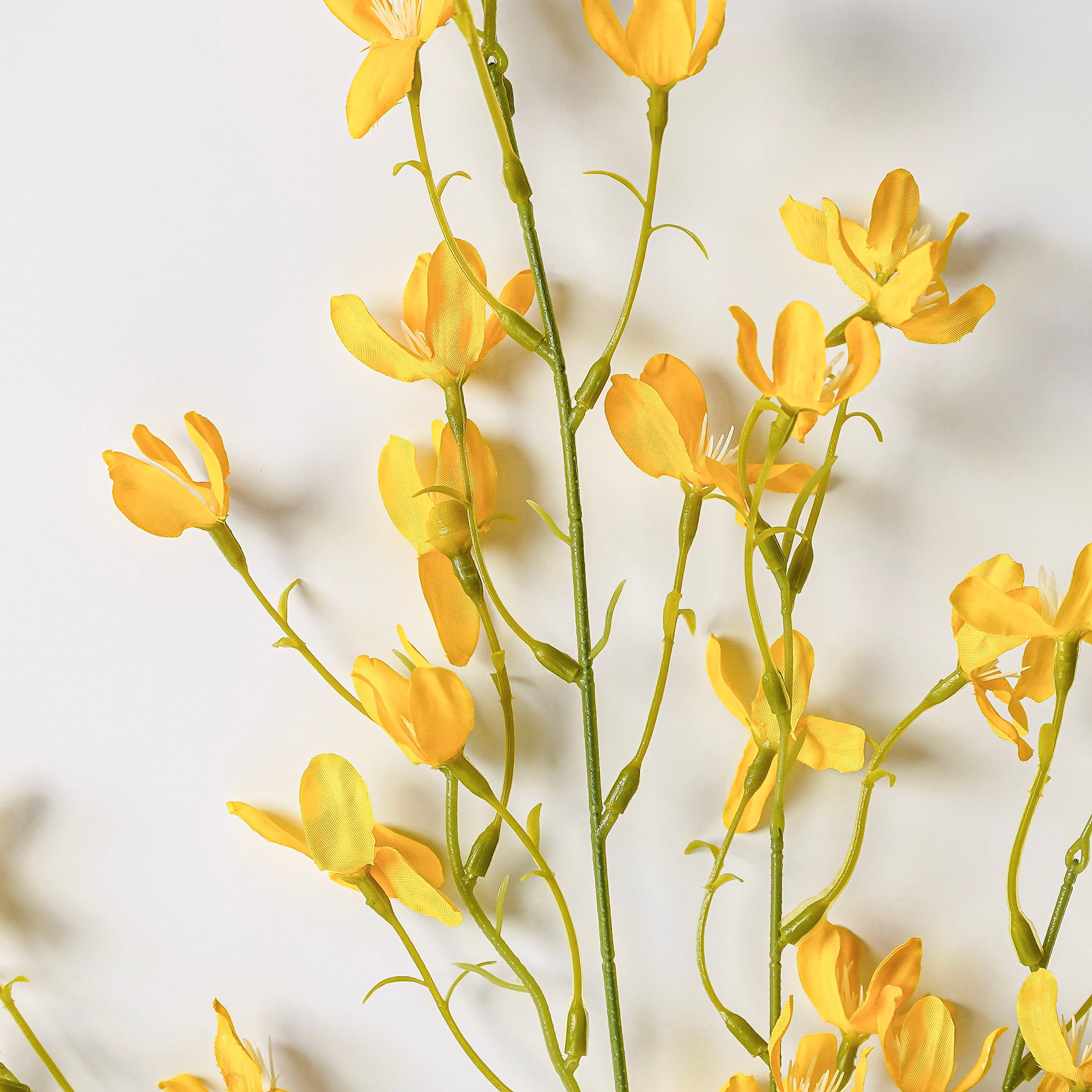 Forsythia Blossom Branch | Yellow