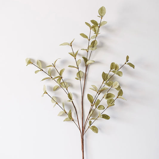 Light Green Eucalyptus Stem