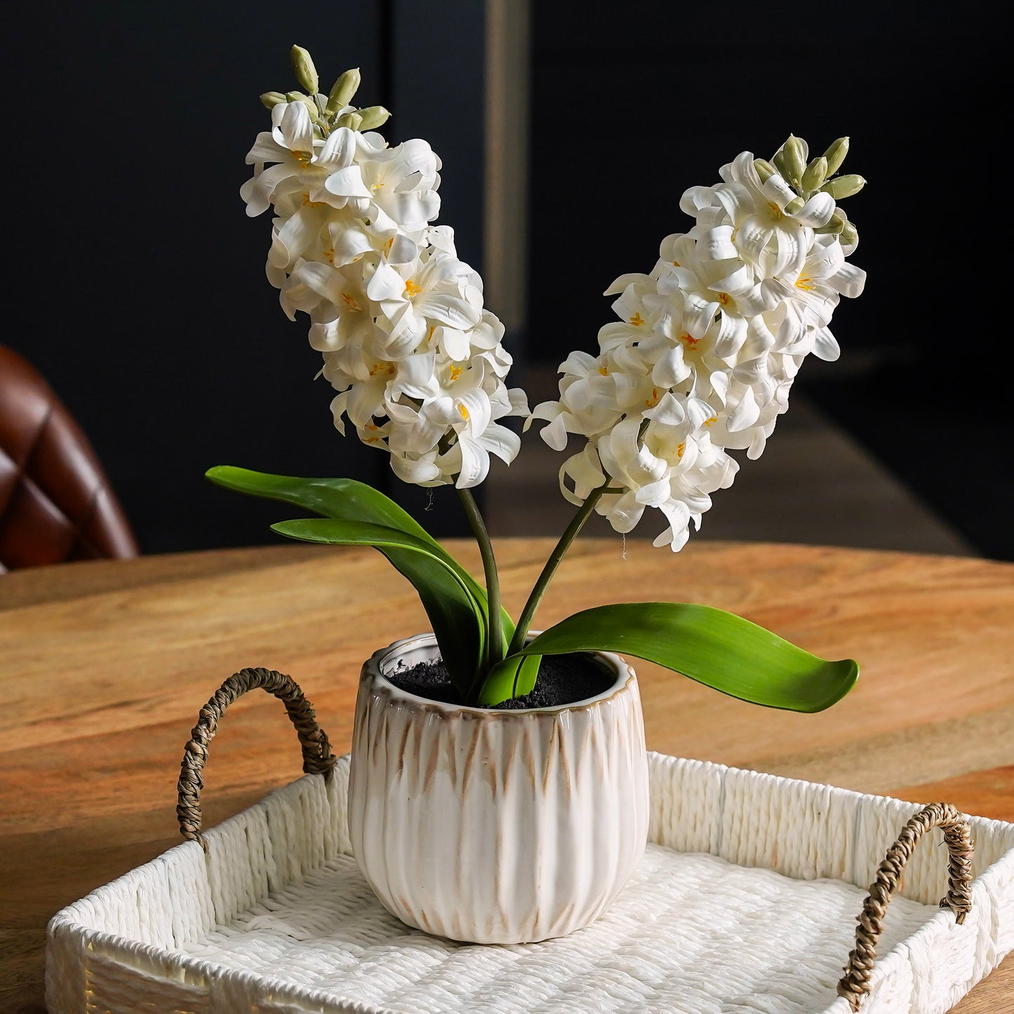 Potted Real Touch White Hyacinth