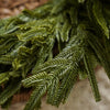 Real Touch Blissful Norfolk Pine Wreath