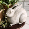 Opal & Ivy Rabbit Decor