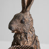 Standing Brown Rabbit Set