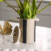 Betsy Ceramic Stripe Canister