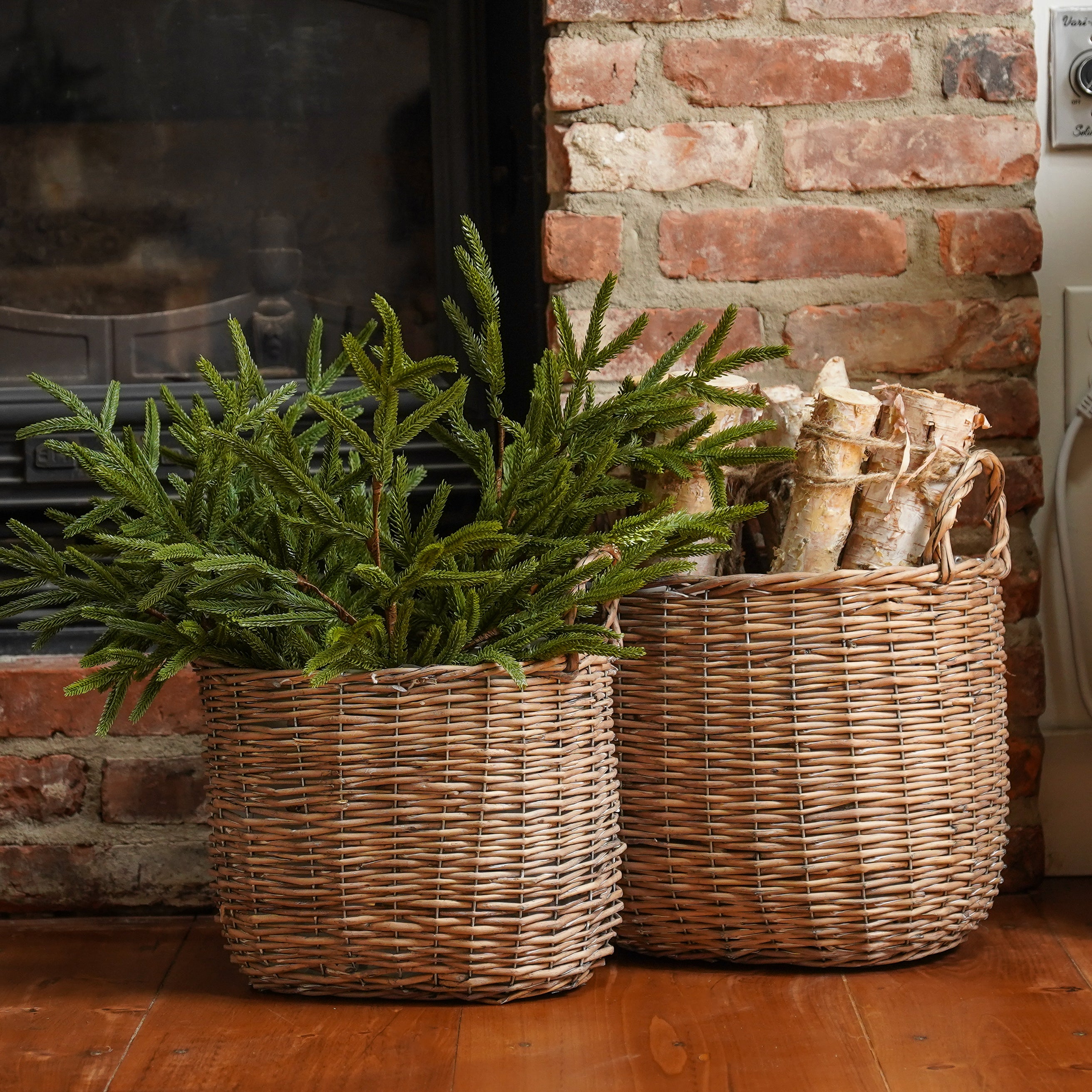 Real Touch Blissful Norfolk Pine Stem