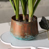 Copper Patina Pot | Small