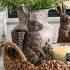 Standing Brown Rabbit Set