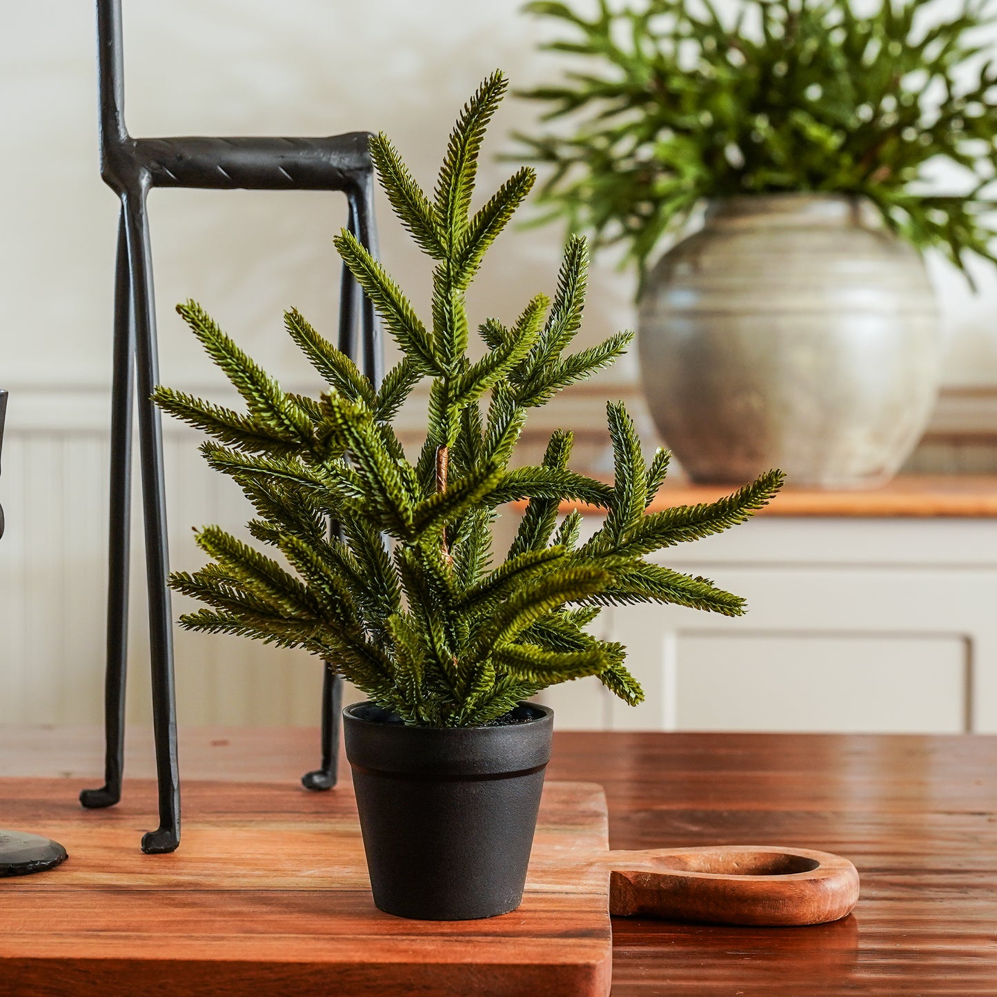 Potted plant on a wooden surface with a chair and another plant in the background.