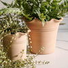 Terra Cotta Ruffle Planter | Large