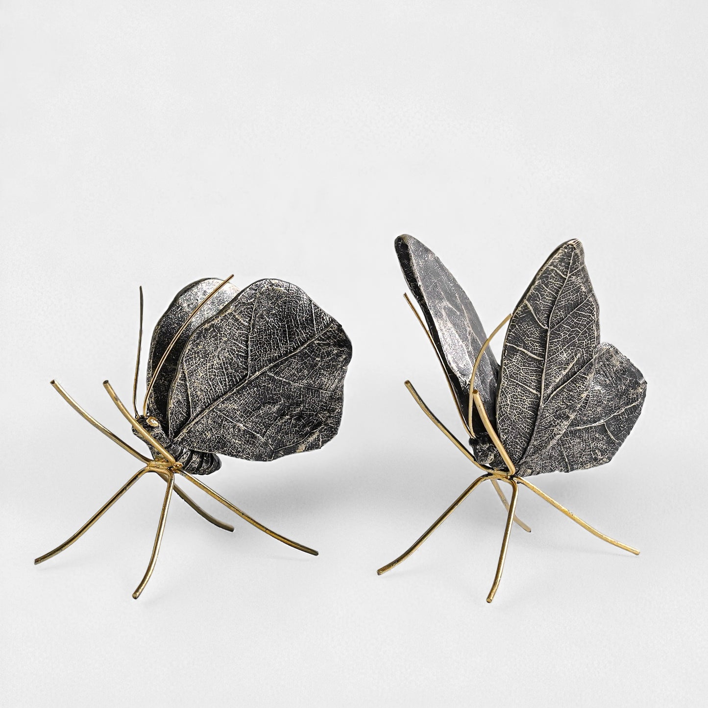 Leaf Wing Butterfly *SET* | Black & Gold