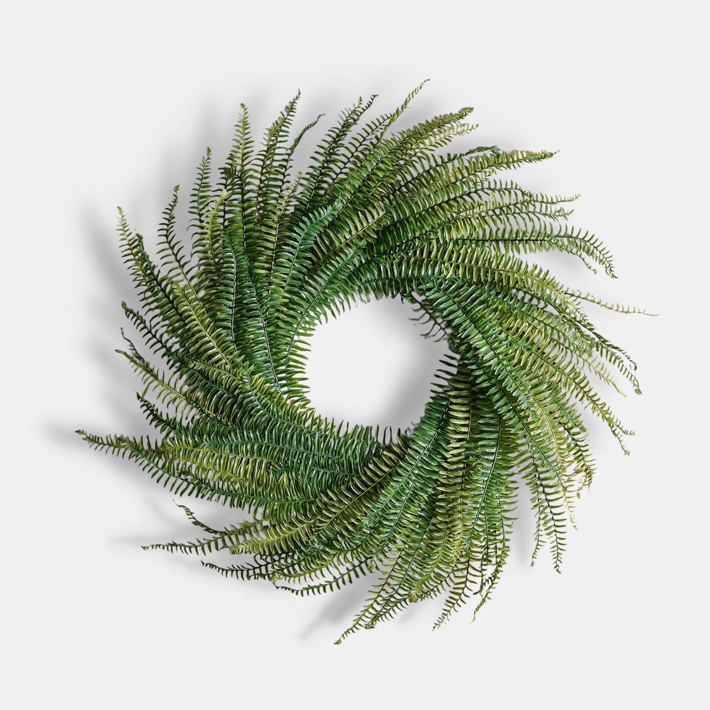 Fabio Fern Wreath