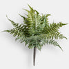 Athena Fern Bush