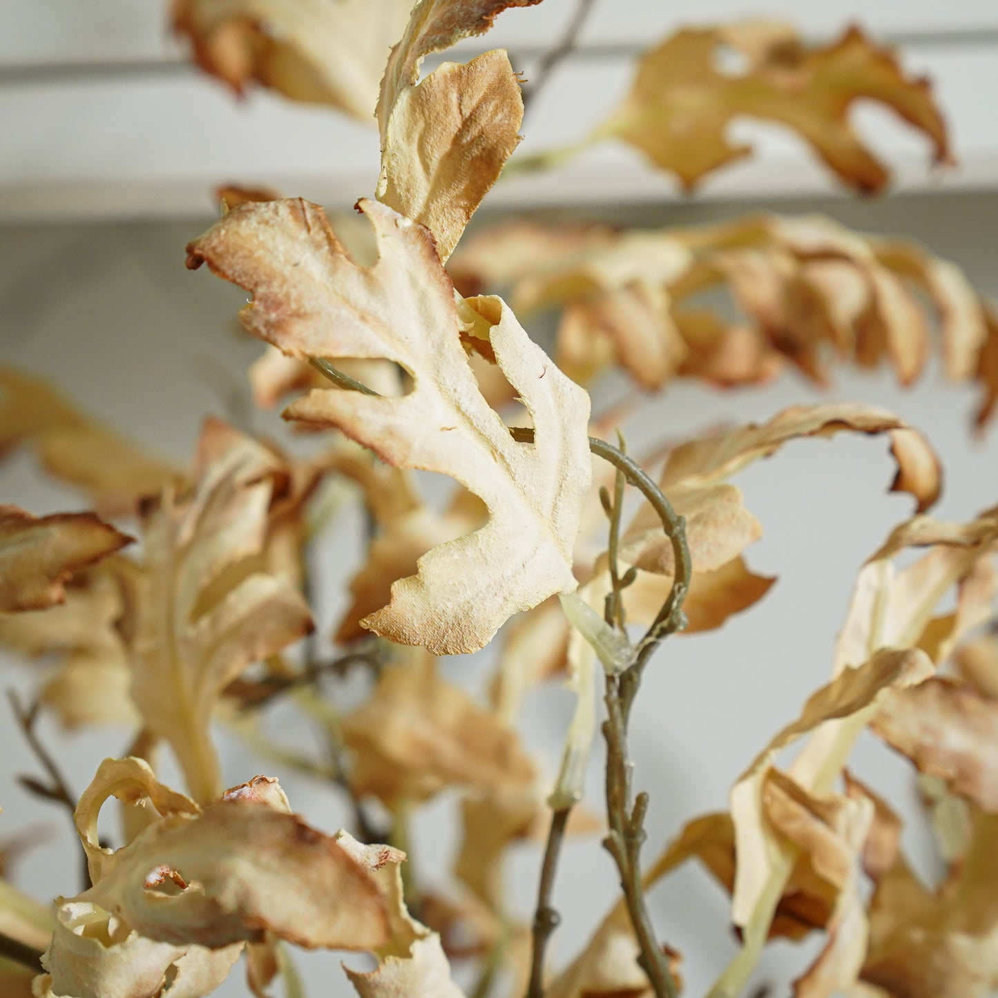 Beige Oak Leaf Stem