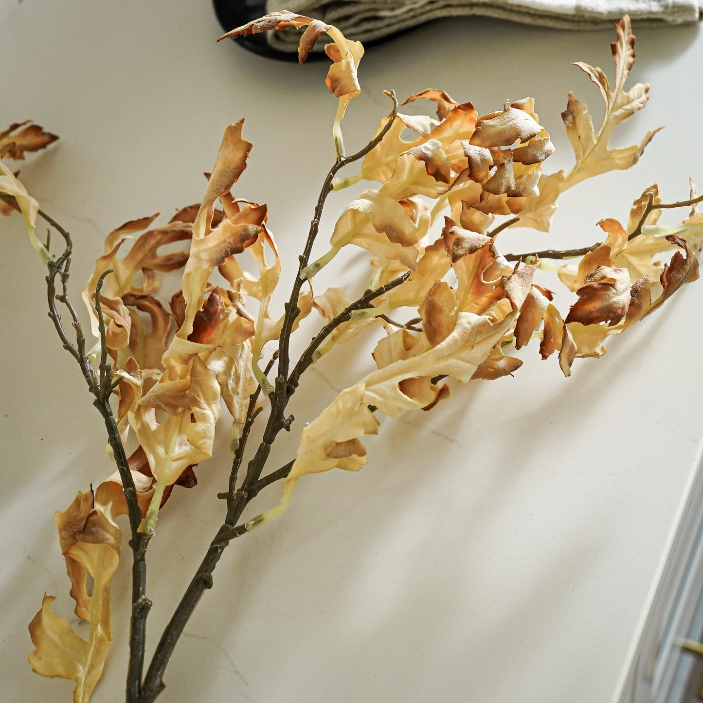 Beige Oak Leaf Stem