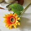 Sunburst Sunflower